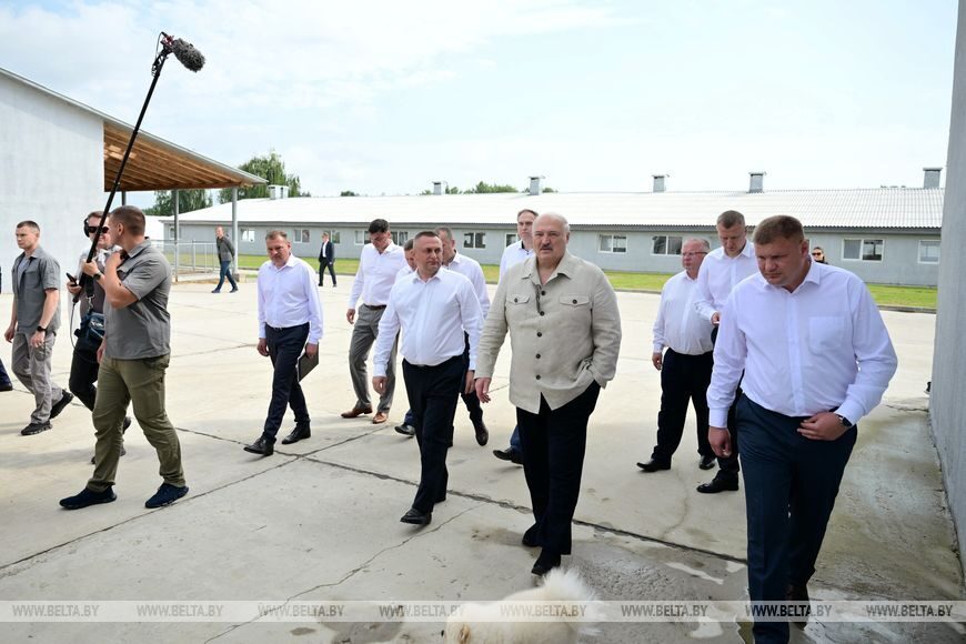 «Почему не интенсифицировать процесс?» Александр Лукашенко поставил принципиальные вопросы в сфере козоводства
