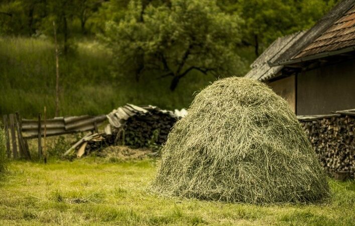 10 июля: приметы и запреты