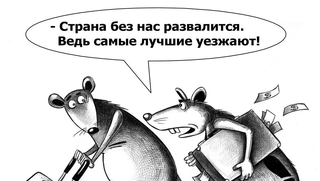 Иллюзия свободы. Сказ о донатах, церковных супах и вчерашних бургерах из мусорного бака