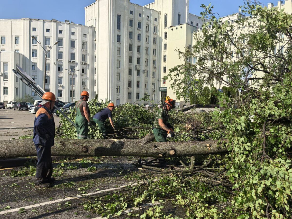 Последствия урагана в Могилеве. В ликвидации задействованы все силы