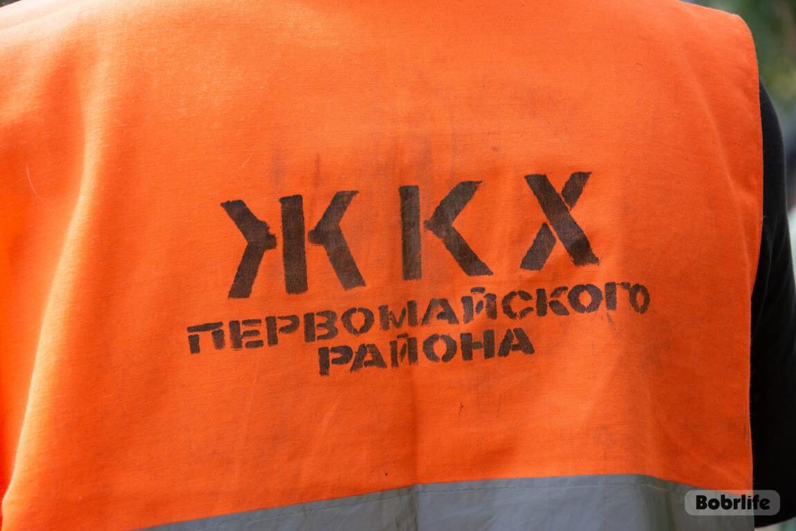 Труд во благо. В Бобруйске продолжают работать студенческие отряды