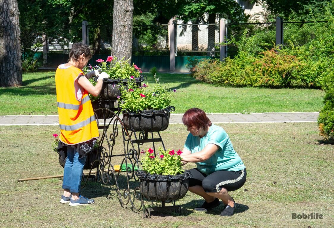 Как проходил субботник в Бобруйске