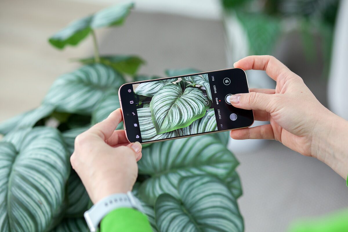 В Беларуси начались продажи флагманского смартфона Huawei Pura 80 с 5,5-кратным оптическим зумом