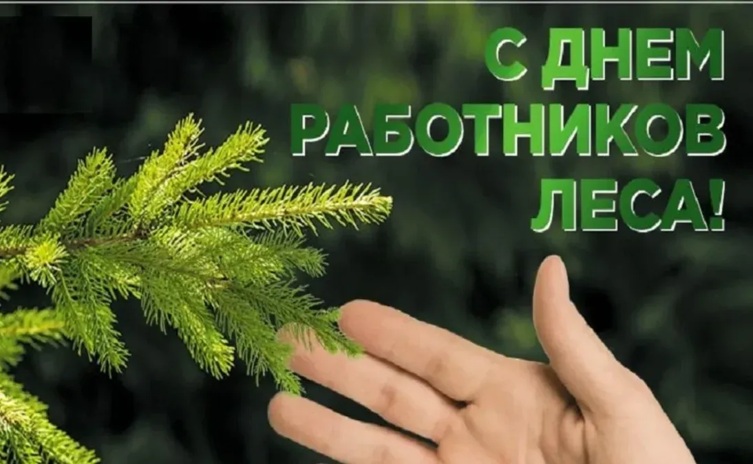 Уважаемые работники и ветераны лесной промышленности Бобруйска!
