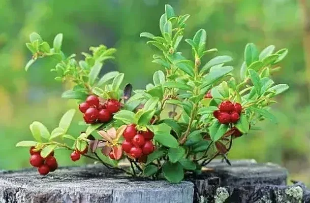 5 сентября: приметы и запреты