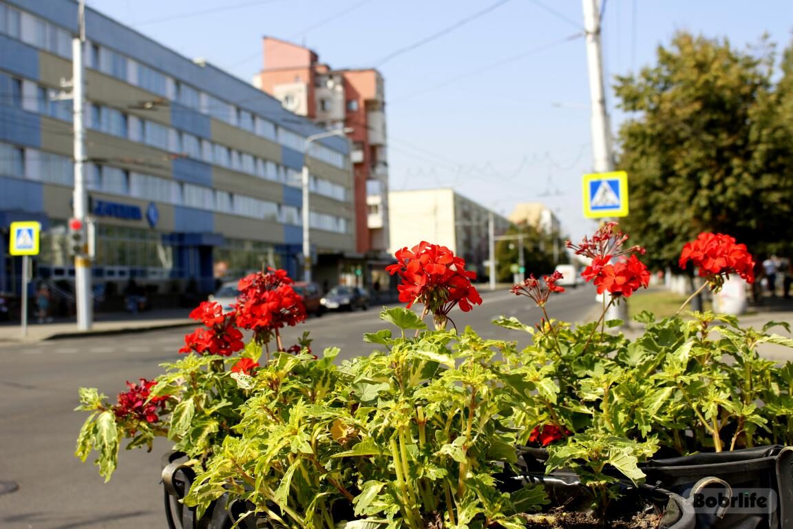 Народные приметы на 28 сентября: что можно и нельзя делать