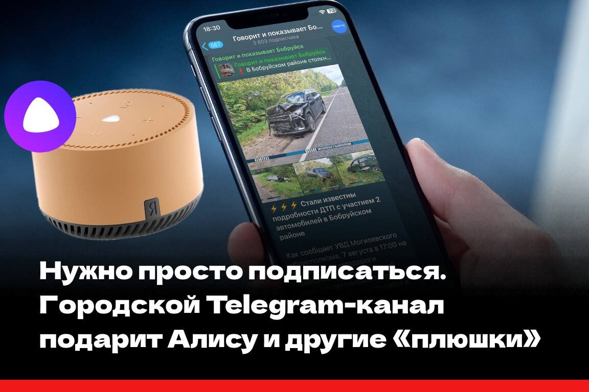 Нужно только подписаться. Городской Telegram-канал подарит Алису и другие «плюшки»