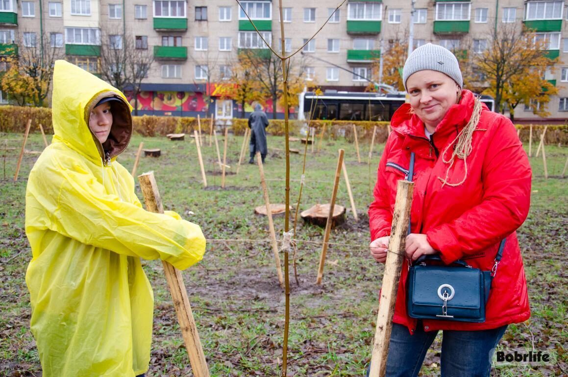 Сделаем красиво для города. На республиканском субботнике бобруйчане высадили клены