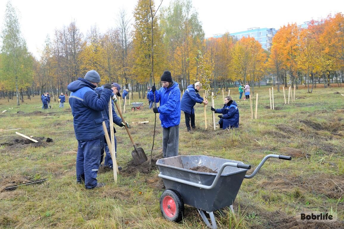 Народные приметы на 15 октября. Что можно и нельзя делать в этот день