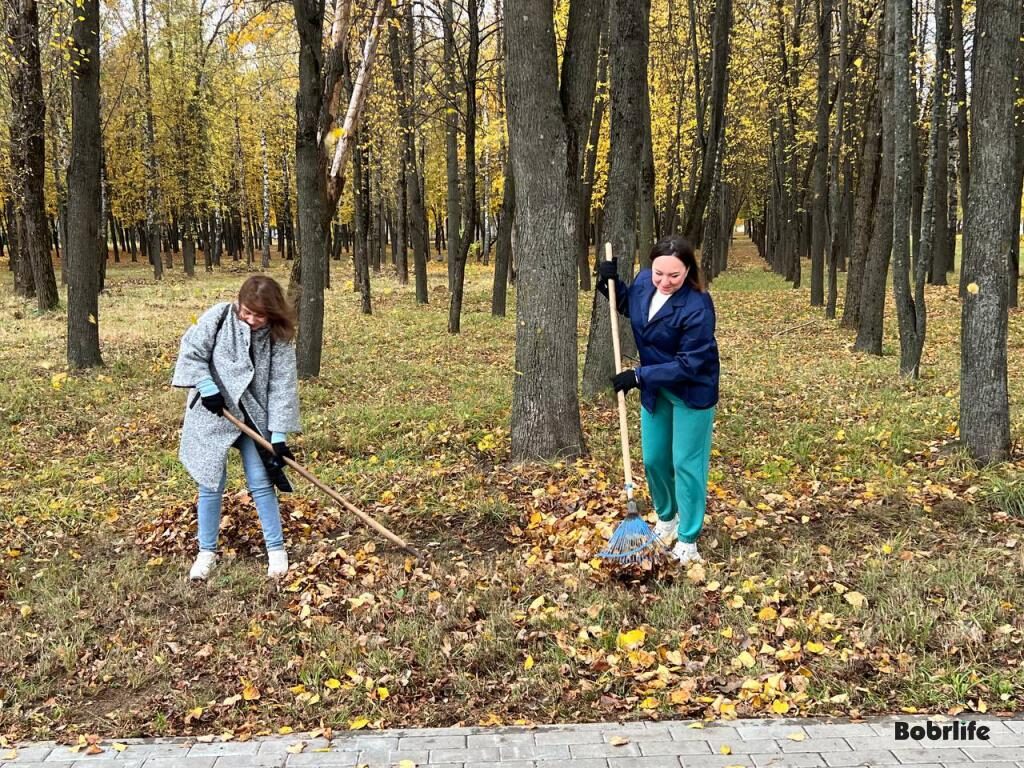 Единой командой. В Бобруйске проходит городской субботник