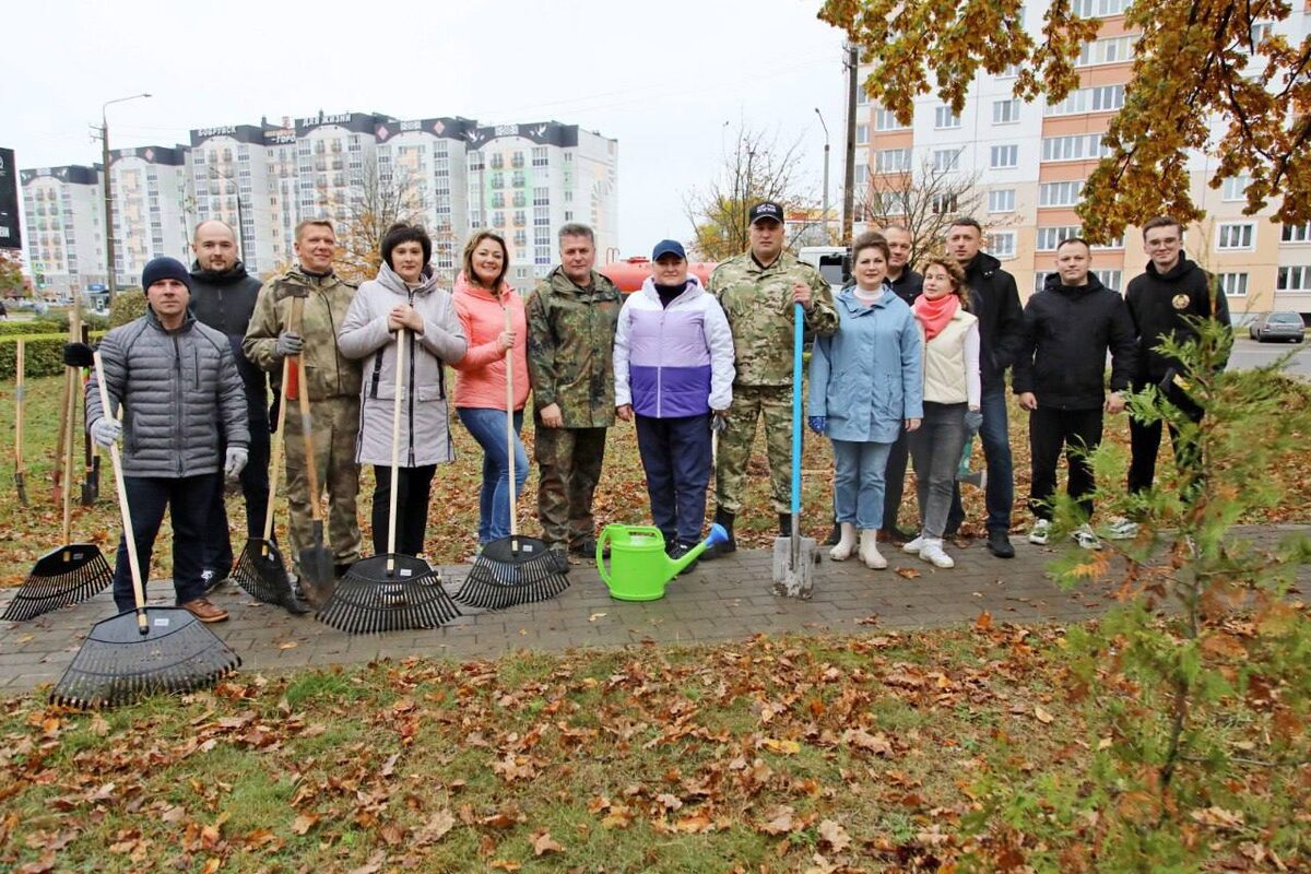Для любимого Бобруйска! На Привокзальной площади посадили рябины