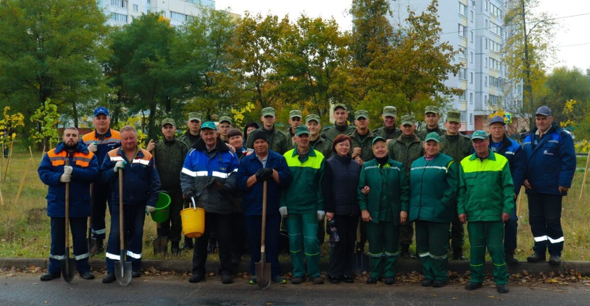 Военные и работники предприятий Бобруйска объединились и высадили аллею из 200 деревьев