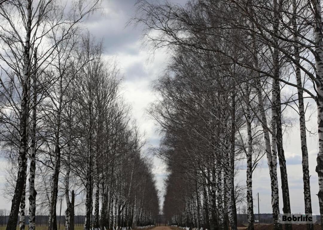 Народные приметы на 7 ноября. Что можно и нельзя делать на Дедовские плачи