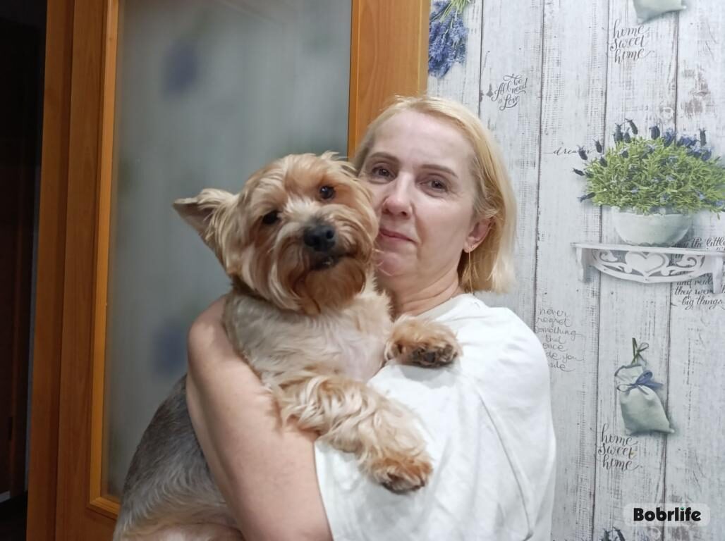 Кошка с собакой – друзья навеки! Бобруйчанка – о своих питомцах