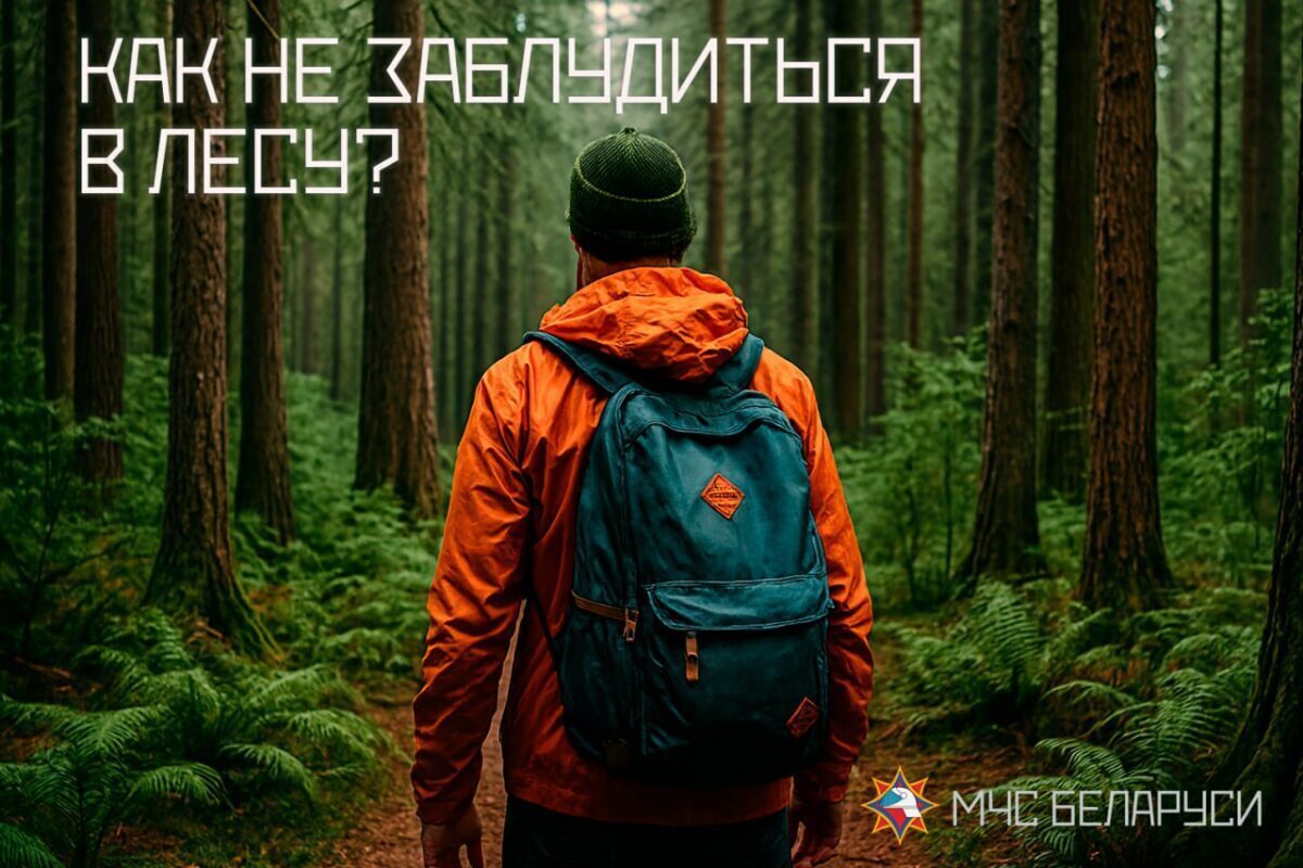 Не заблудись в лесу. Следуй простым советам