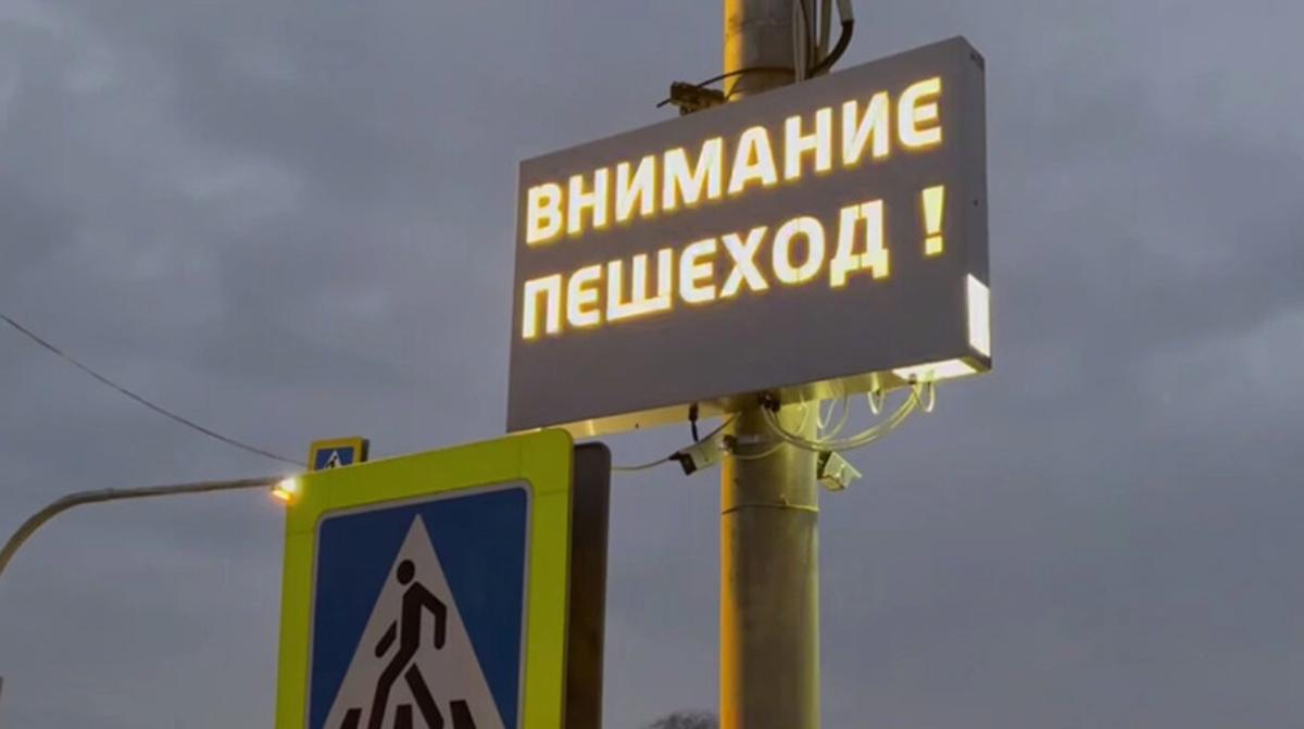 В Чаусах начали тестировать первую в стране умную зебру