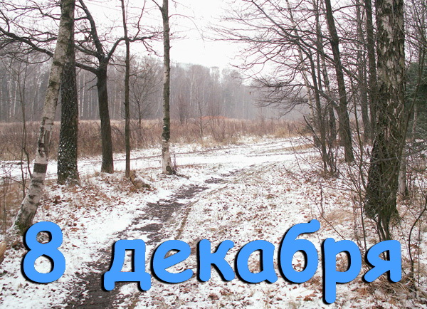 В этот день. 8 декабря