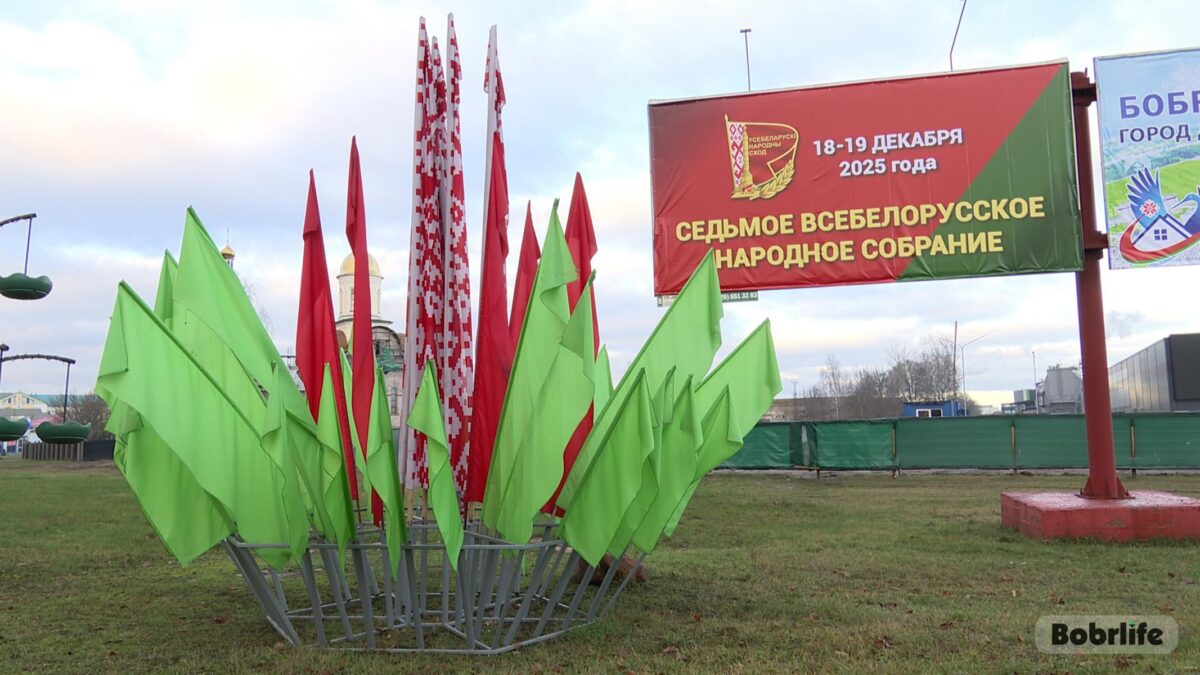 Более 1 тыс. обращений поступило от делегатов ВНС касательно программы соцэкономразвития