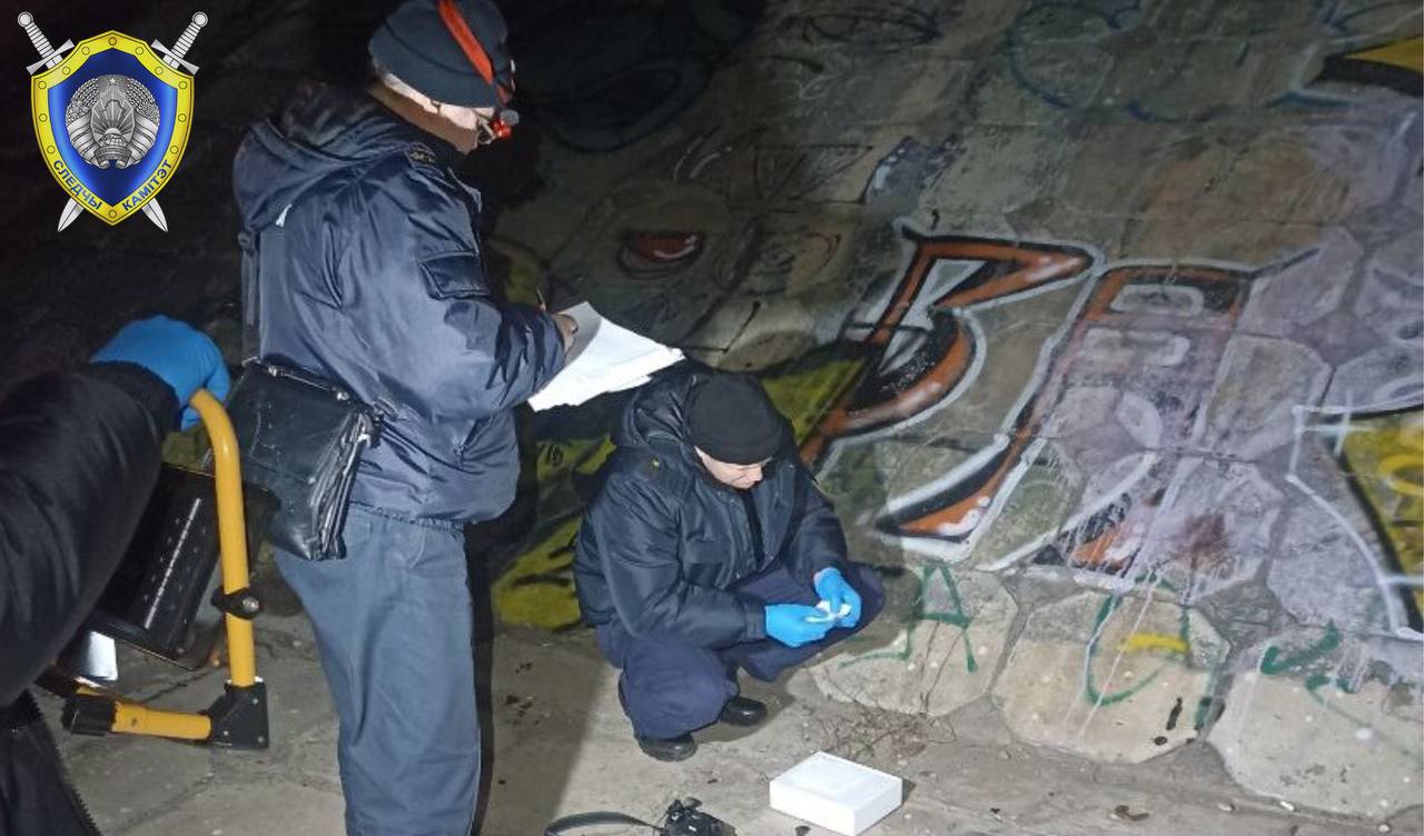 Жестокое убийство в Бобруйске: подробности расследования