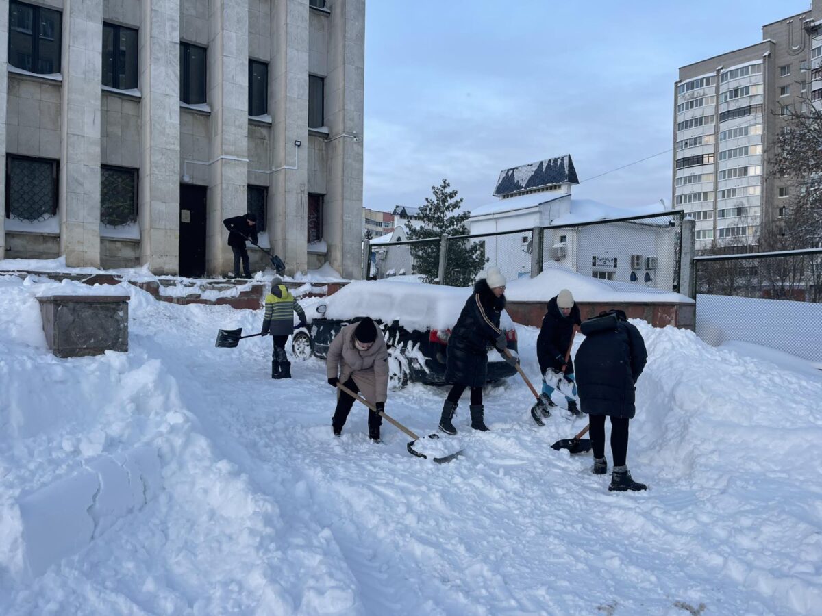Снежный день. Актив и рядовые члены Бобруйской городской организации профсоюза госучреждений не стоят в стороне