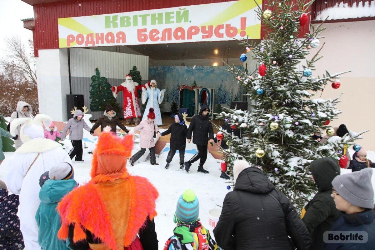 Горка, хороводы и встреча с волшебником. Новогодние чудеса в Бобруйской резиденции Деда Мороза