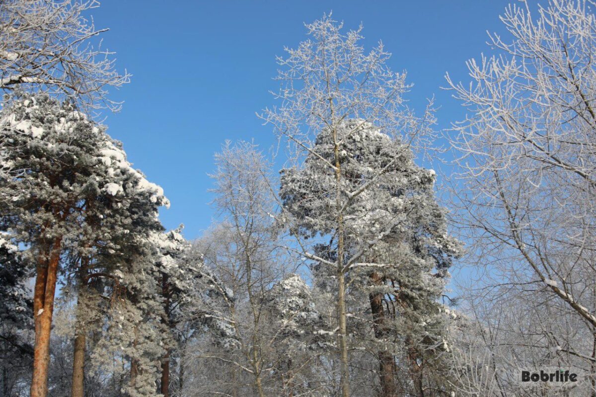 Гороскоп на 15 февраля