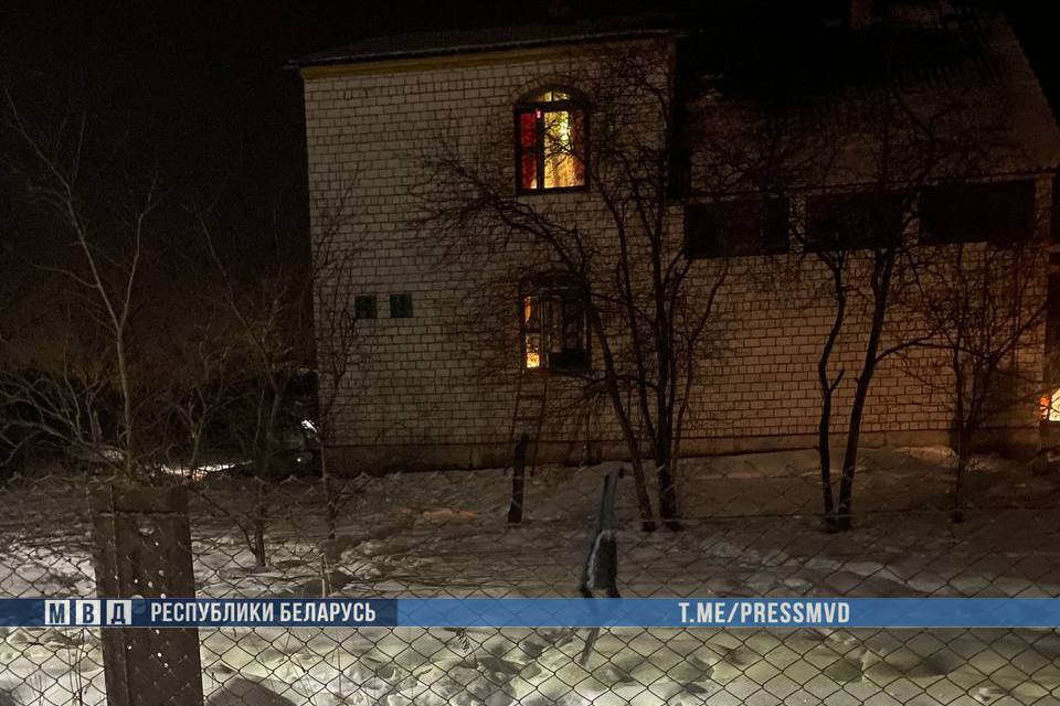 В Смолевичском районе задержаны вооруженные налетчики-иностранцы, напавшие на частный дом