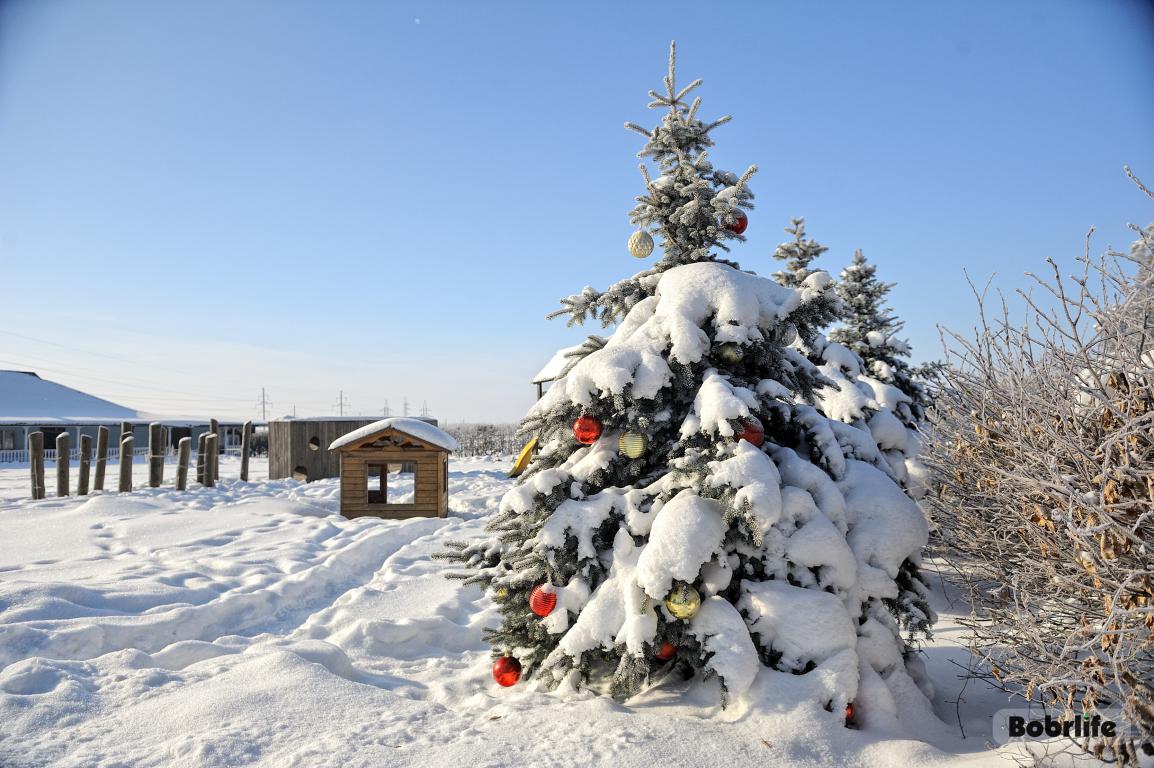 Гороскоп на 14 февраля