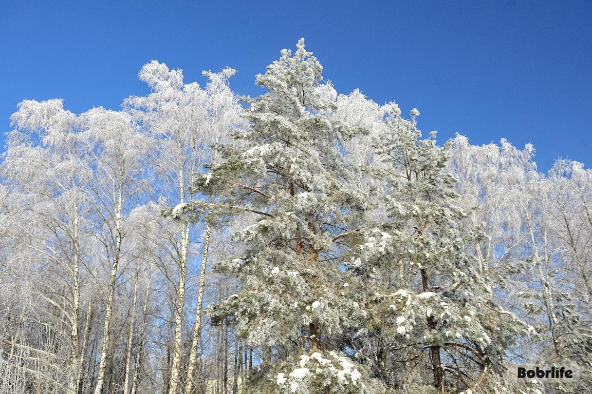 Гороскоп на 8 февраля