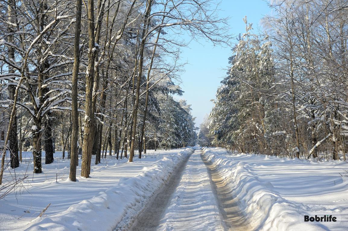 Гороскоп на 21 февраля