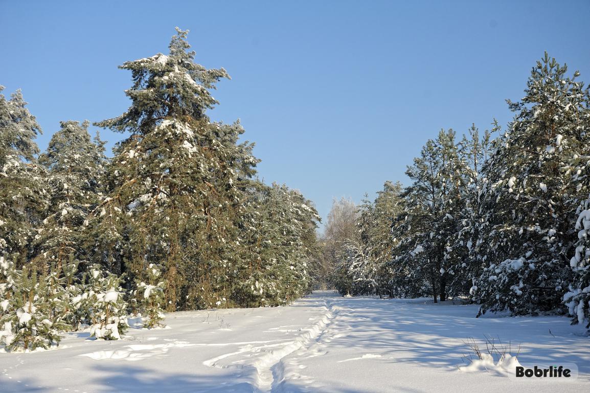 Погода на 7 февраля: временами снег, не ниже -10°С ночью и около -5°С в дневные часы в Могилевской области