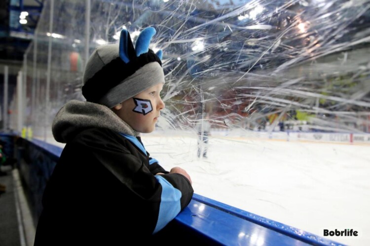 3:4 на последней минуте. «Динамо-Шинник» уступил «Динамо-Карелии» в заключительном матче «регулярки»