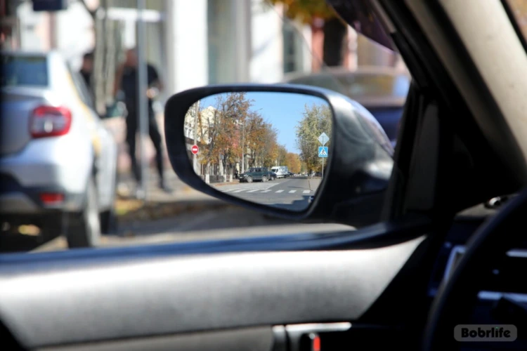 Купил права: бобруйские эксперты исследовали поддельное водительское удостоверение