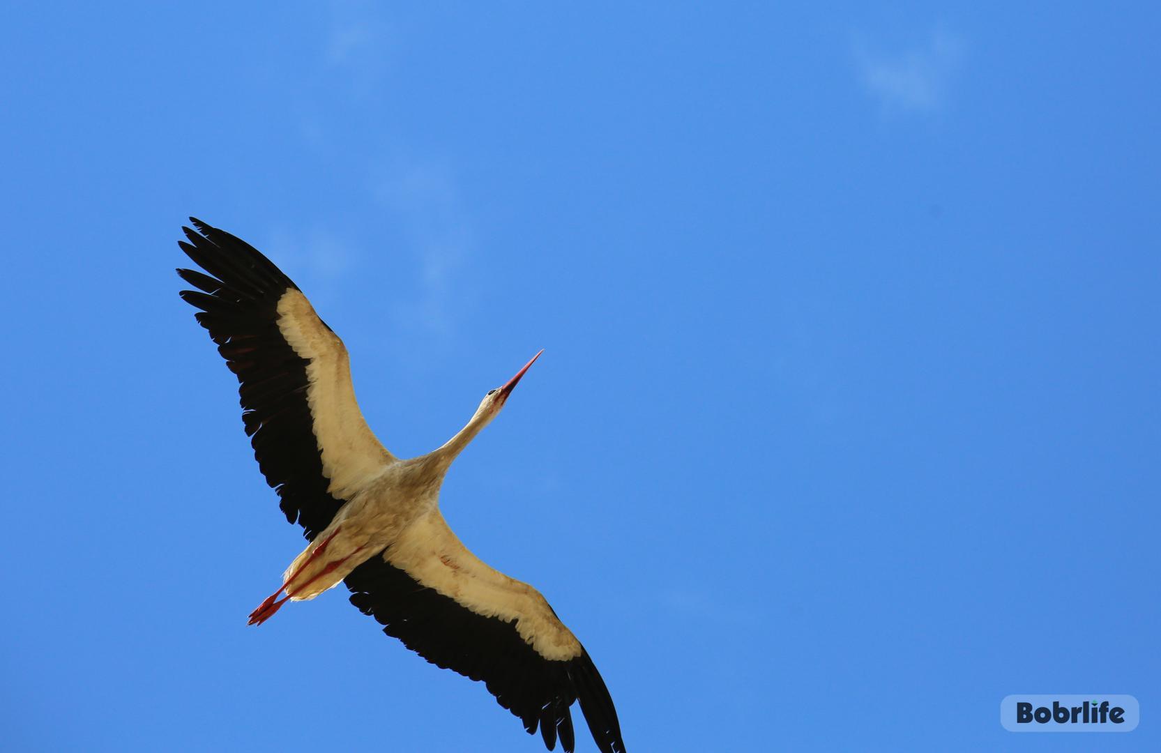 Прогноз погоды. Могилевская область