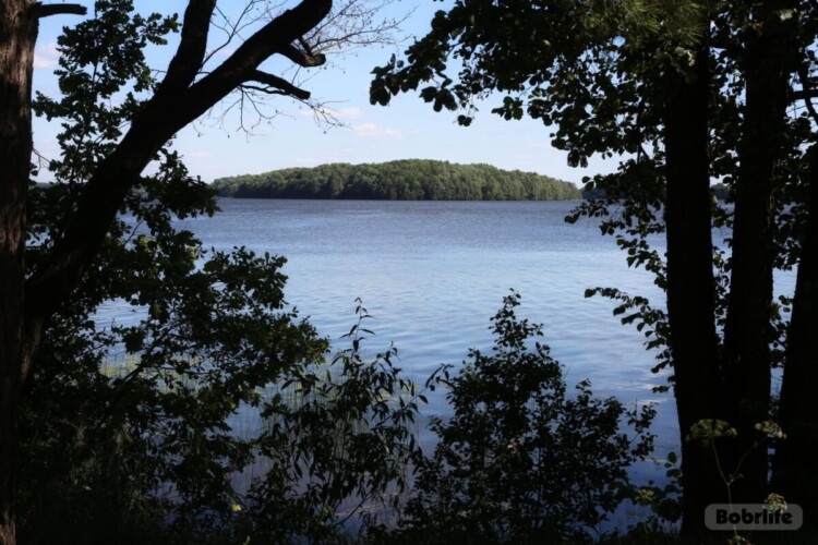 В Беларуси начали вводить ограничения на посещение лесов. Причина — третий класс пожарной опасности