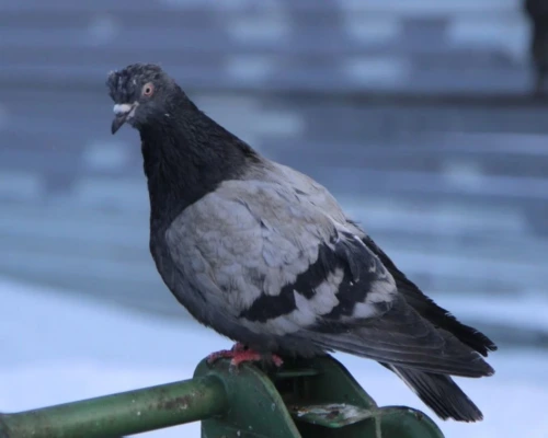 Прогноз погоды на 25 марта