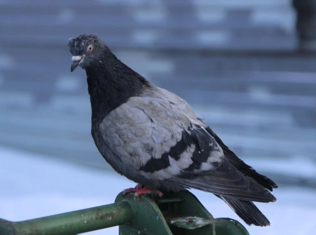 Прогноз погоды на 25 марта