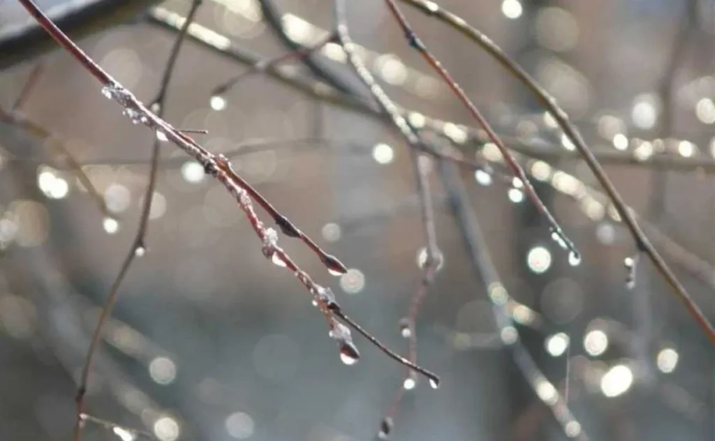 Южный циклон зальёт Беларусь. Синоптики назвали регионы, где разбушуется стихия