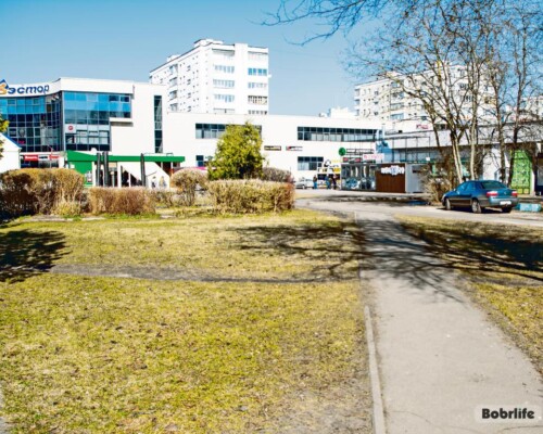 В Бобруйске проводится конкурс на лучший проект благоустройства территории. Расскажем, как принять участие