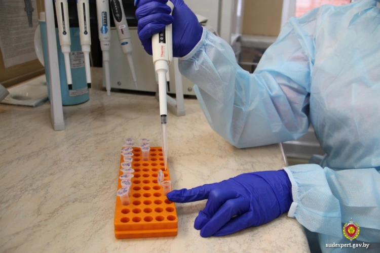 Предполагаемый папа умер еще до рождения малыша. Эксперты подтвердили родство по дяде