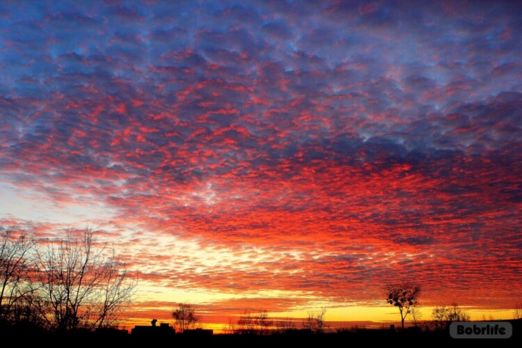 Народные приметы на 20 марта. Что можно и нельзя делать в этот день