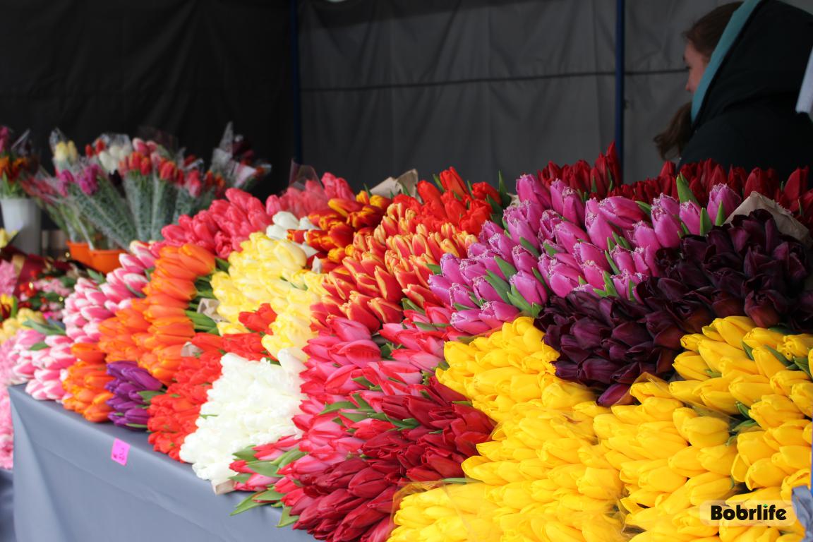 Гороскоп на 28 марта