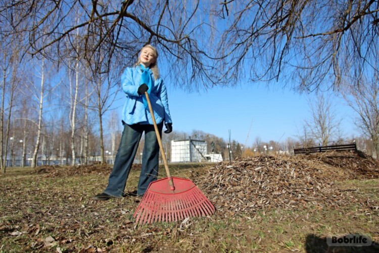 Хозяйки на своей земле. Активистки ОО «Белорусский союз женщин» вместе с КУП «ДЭП г. Бобруйска» внесли вклад в благоустройство Бобруйска во время общегородского субботника