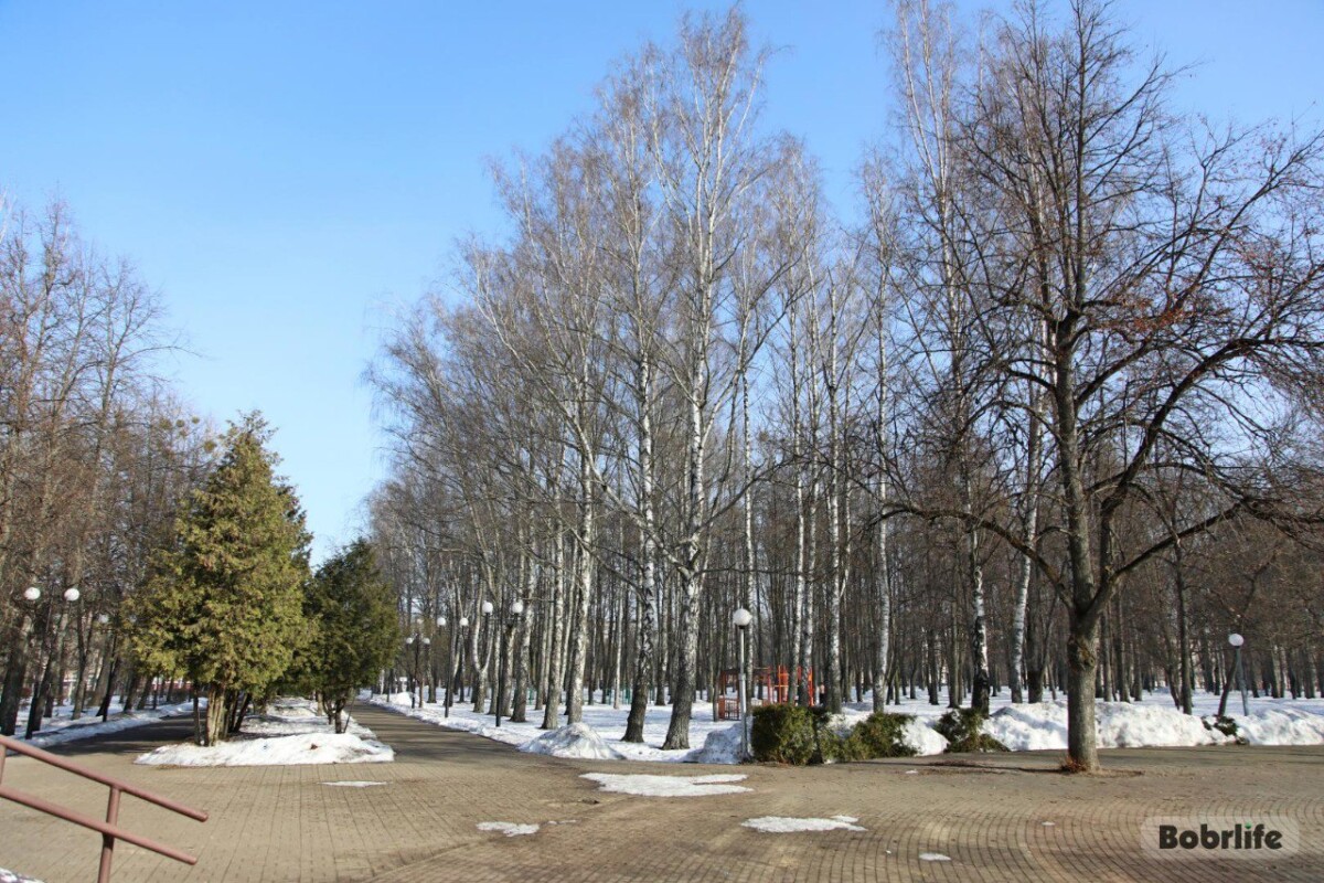 Что можно и нельзя делать в Родительскую субботу Великого поста 21 марта