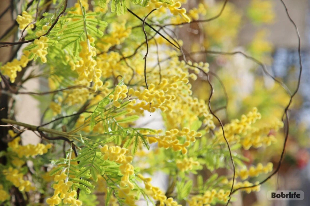 Гороскоп на 21 марта