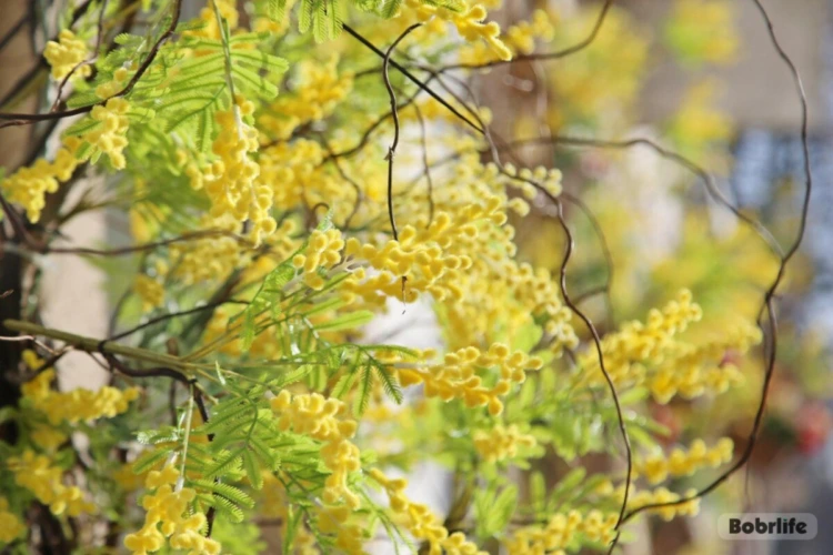 Прогноз погоды на неделю. Могилевская область