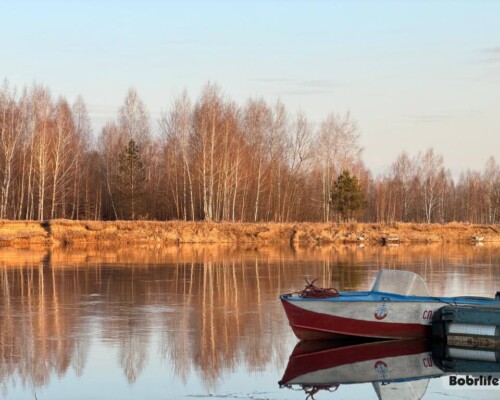Народные приметы на 26 марта. Что можно и нельзя делать в этот день