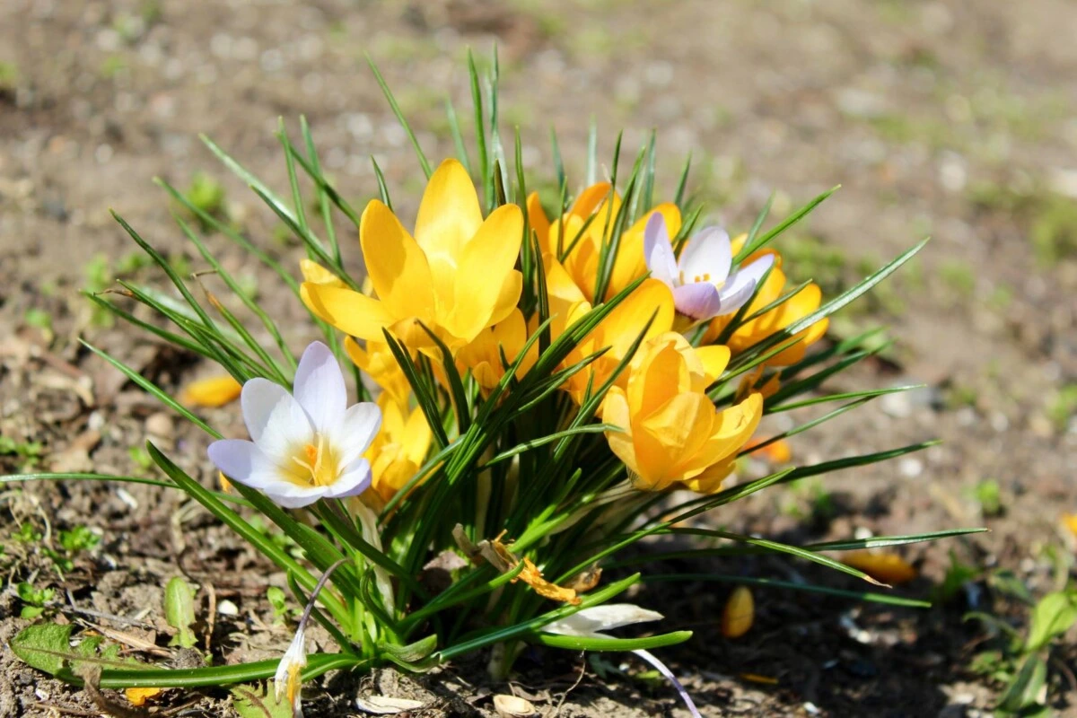 Гороскоп на 29 марта