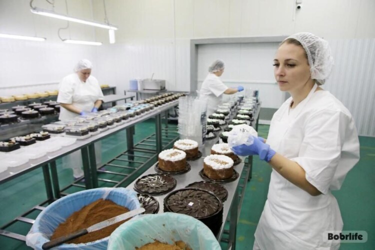 В Бобруйске требуются специалисты широкого профиля. Подборка свежих вакансий