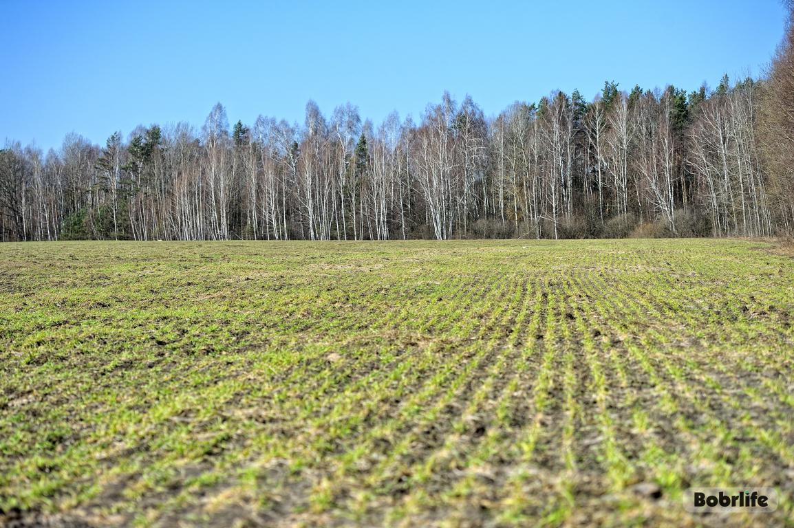 Не все хозяйства готовы к посевной. Вот что выявила проверка Комитета госконтроля